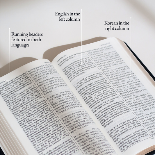 Korean - The Dual Language Book of Mormon
