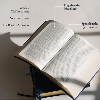 Español - Scripture Set