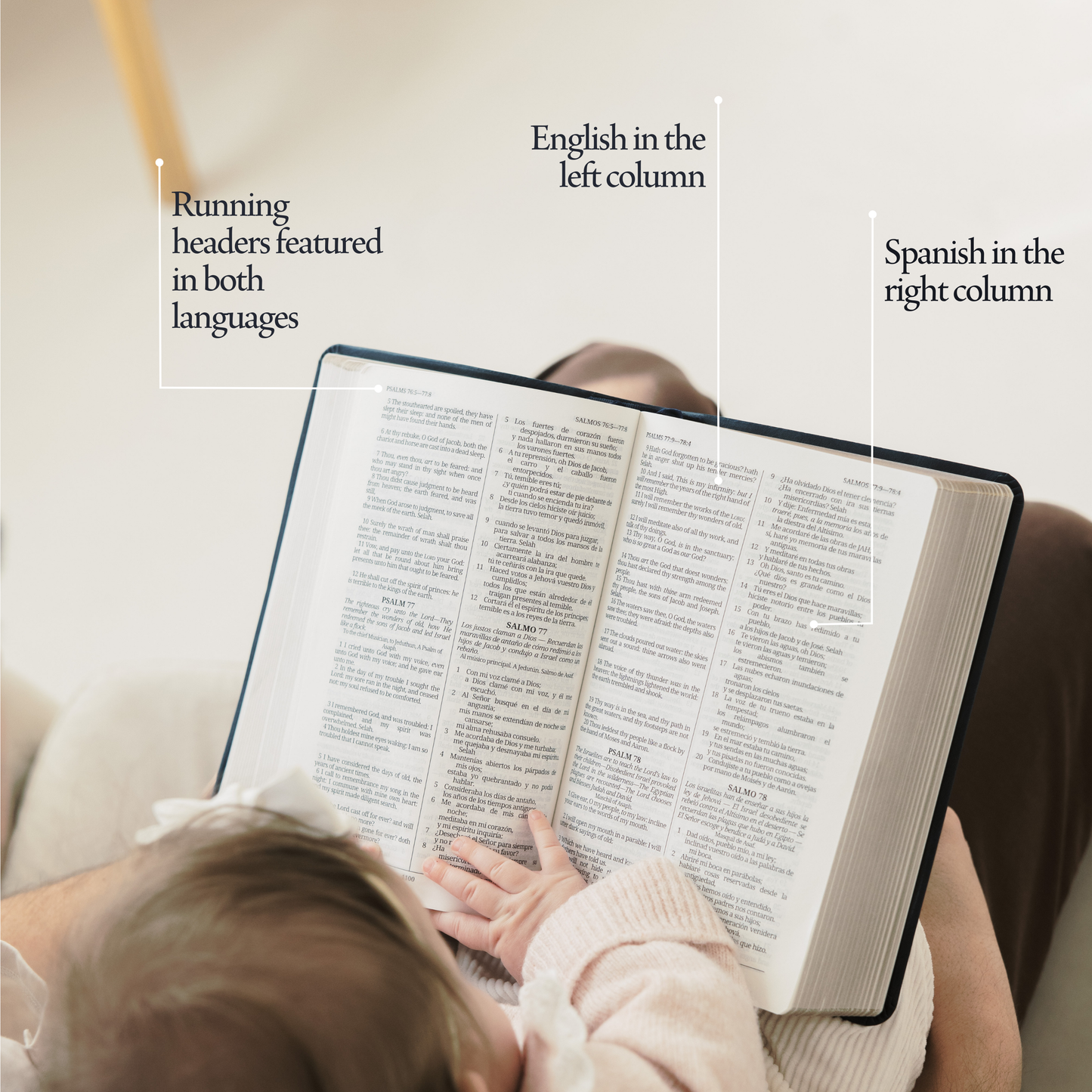 Español - The Dual Language Bible