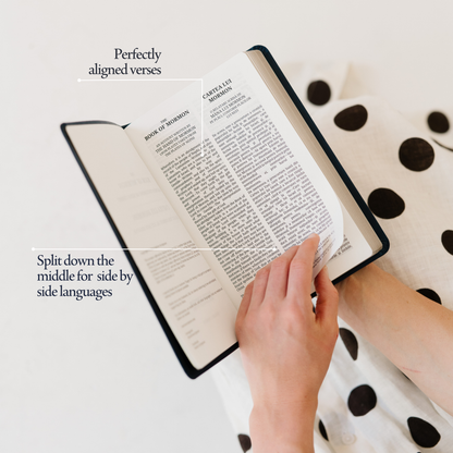 Română Romanian - The Dual Language Book of Mormon