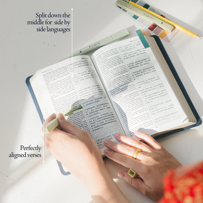 简体中文 Chinese (Simplified) - The Dual Language Book of Mormon