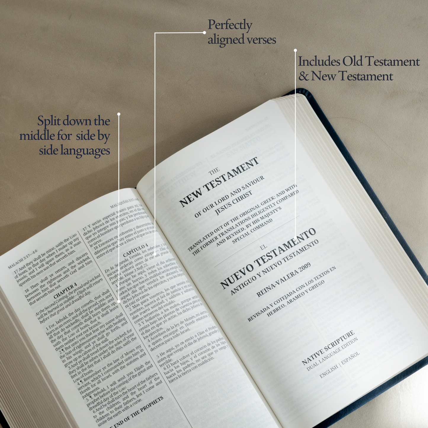 Español - The Dual Language Bible