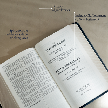 Español - The Dual Language Bible
