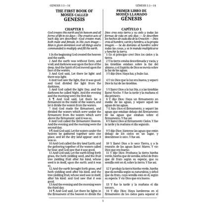 Español - Scripture Set