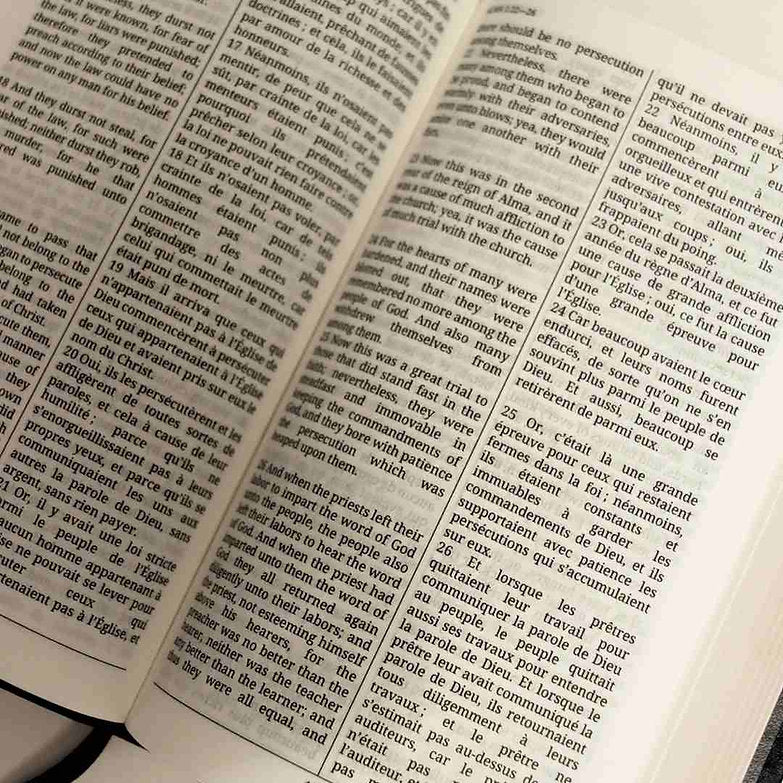 Français - The Dual Language Book of Mormon