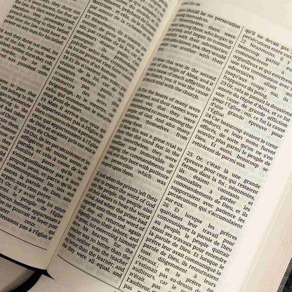 Français - The Dual Language Book of Mormon